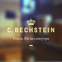 Рояль C. Bechstein: взгляд изнутри