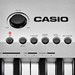 Поступление инструментов Casio