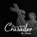 Поступление гитар Crusader