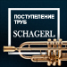 Поступление труб Schagerl