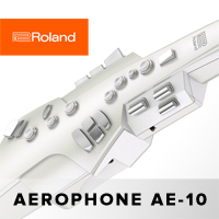 Уникальный цифровой саксофон от Roland Уникальный цифровой саксофон от Roland