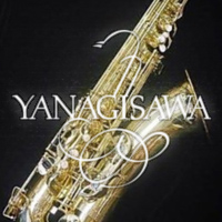 Поступление саксофонов Yanagisawa Поступление саксофонов Yanagisawa