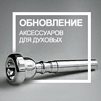 Поступление духовых аксессуаров Поступление духовых аксессуаров