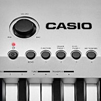 Поступление инструментов Casio Поступление инструментов Casio
