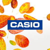 Осенний ценопад от компании Casio