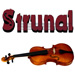 Скрипки и кейсы Strunal