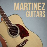 Поступление гитар Martinez