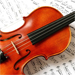 Поступление новых скрипичных комплектов Stefan Poladic