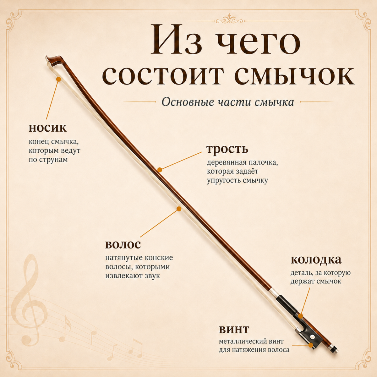 violin5.png violin5.png