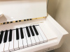 Пианино C. Bechstein Millenium 116K (BU214146) белое, полированное