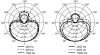 Микрофон Shure BETA 58A