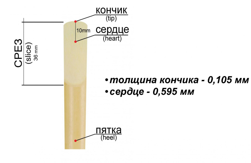 Трости для альт саксофона Fedotov Reeds Концертино №3+ (10 шт)