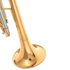 Труба Schagerl Academica Signature Mnozil Brass Bb