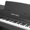 Цифровое пианино Orfeo Eurydice E-22 черное, с наушниками