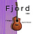Гитара акустическая Fjord 1KC