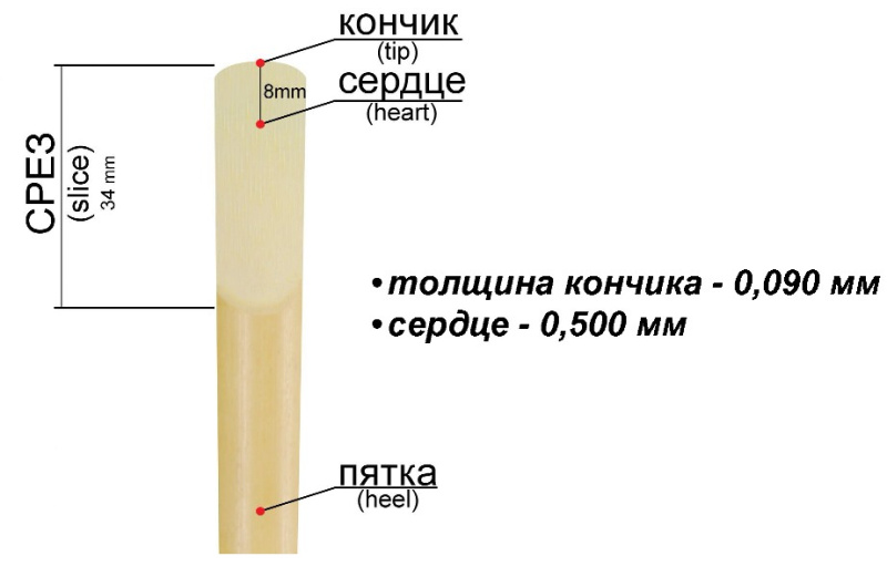Трости для кларнета Fedotov Reeds Концертино №2 Bb (10 шт)
