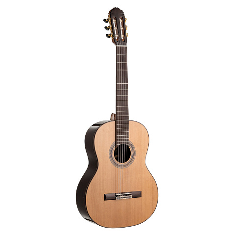 Гитара классическая Tarrega T5 Cedar+Rosewood 4/4