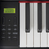 Цифровое пианино Orfeo E-6 черное, с наушниками