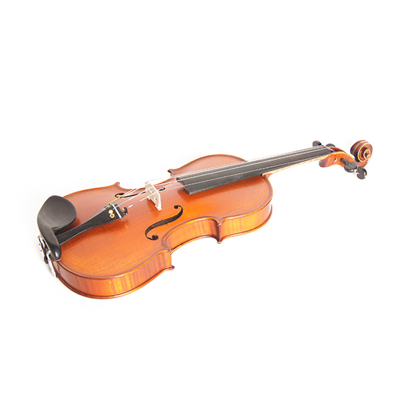 Скрипка Gliga Gama Genova Professional PG-V044-A 4/4