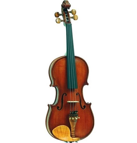 Скрипка Gliga Gloria SG-V044 4/4 (BU)