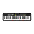 Синтезатор Casio LK-S250, 61 клавиша с подсветкой