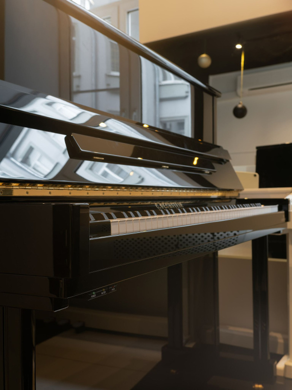 Пианино C. Bechstein Residence Classic 124 (BU) черное, полированное, Dampp-Chaser