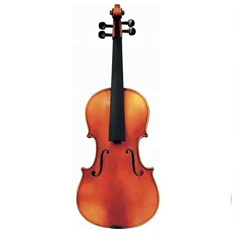 Скрипка Gewa Maestro 6 Antique 4/4