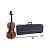 Комплект скрипичный Gewa Violin Allegro 4/4