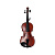 Скрипка Gliga Gems 1 AW-V012 1/2