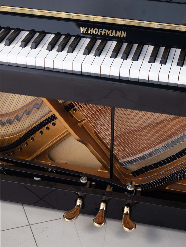 Пианино W. Hoffmann Vision V 112 2018 г.(BU) черное, полированное