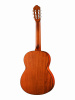 Гитара классическая Cort Classic Series AC100-OP