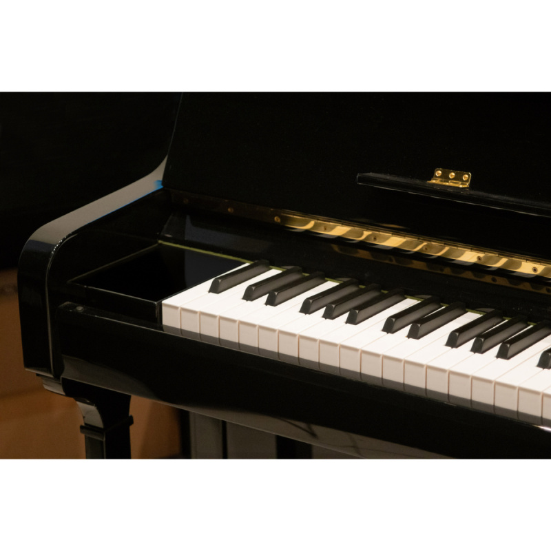 Пианино C. Bechstein Academy A 1 (BU) черное, полированное, цифровая система PianoDisc IQ HD Пианино C. Bechstein Academy A 1 (BU) черное, полированное, цифровая система PianoDisc IQ HD