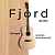 Гитара электроакустическая Fjord Arctic