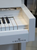 Пианино C. Bechstein Millenium 116 (BU) белое, полированное, отделка хром, цифровая система Vario Пианино C. Bechstein Millenium 116 (BU) белое, полированное, отделка хром, цифровая система Vario