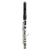 Флейта-пикколо Jupiter Performance Series JPC1100E Флейта-пикколо Jupiter Performance Series JPC1100E