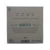 Струны для мандолины D'Addario Phosphor Bronze EJ73 Light (8 шт)