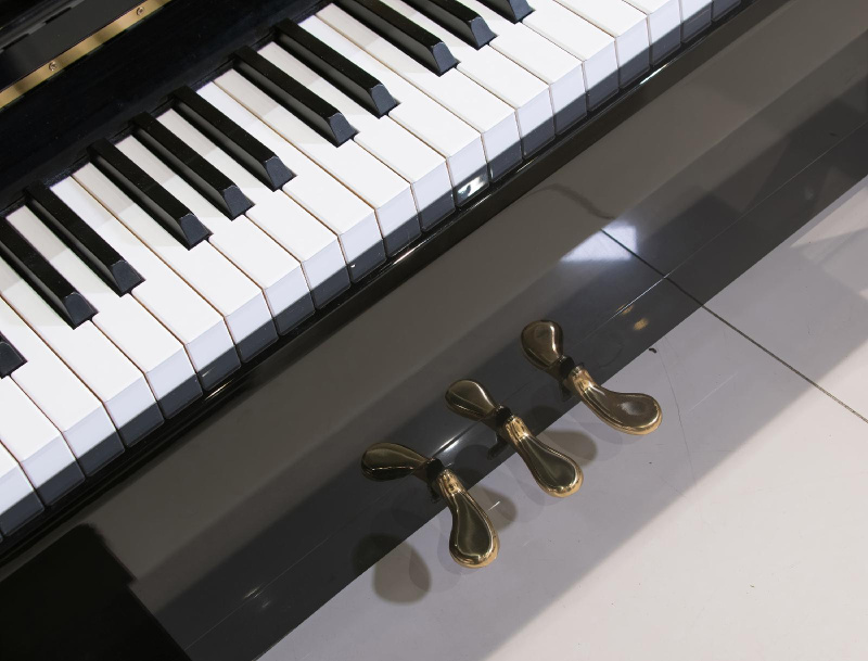 Пианино W. Hoffmann Vision V 112 2019 г.(BU) черное, полированное