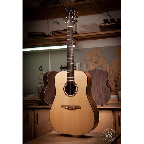 Гитара акустическая NewTone Lantana D S N 4/4