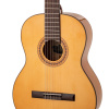 Гитара классическая Tarrega Vega Spruce+Flame Maple 4/4