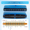 Губная гармоника Kongsheng Bluebird Си-бемоль-мажор (Bb)