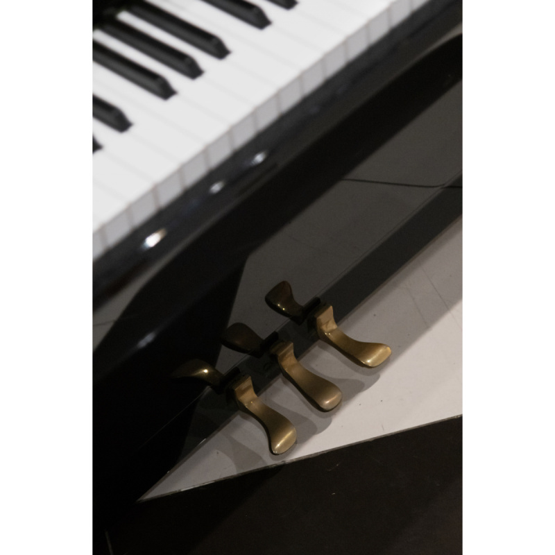 Пианино C. Bechstein Academy A 1 (BU) черное, полированное, цифровая система PianoDisc IQ HD Пианино C. Bechstein Academy A 1 (BU) черное, полированное, цифровая система PianoDisc IQ HD