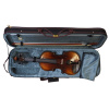 Комплект скрипичный Stefan Poladic 400 1/2
