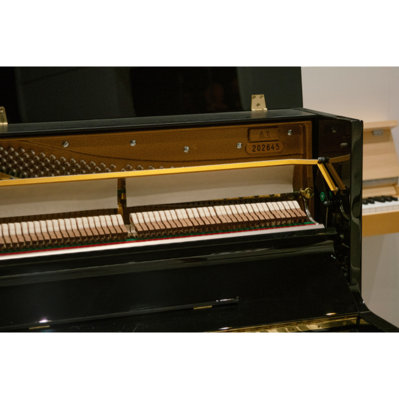 Пианино C. Bechstein Academy A 1 (BU) черное, полированное, цифровая система PianoDisc IQ HD Пианино C. Bechstein Academy A 1 (BU) черное, полированное, цифровая система PianoDisc IQ HD