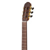 Гитара классическая Tarrega T3 Cedar+Sapele 4/4