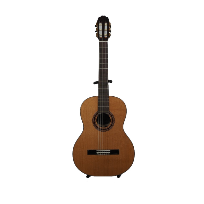 Гитара классическая Tarrega T9 Cedar+Rosewood 4/4