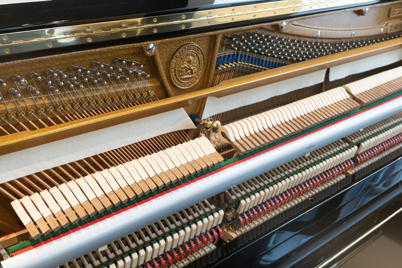 Пианино C. Bechstein Residence Classic 124 (BU) черное, полированное, Dampp-Chaser