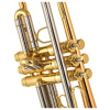 Труба Schagerl Academica Signature Mnozil Brass Bb