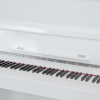 Цифровое пианино Orfeo E-1UP белое, полированное, с наушниками