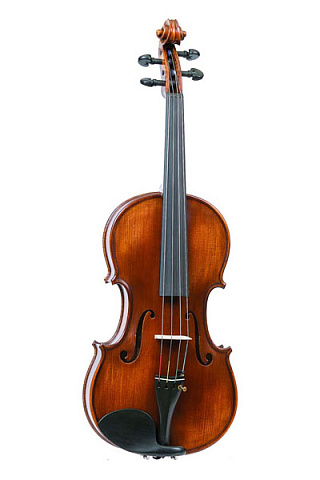 Скрипка Gliga Gama P-V044 4/4