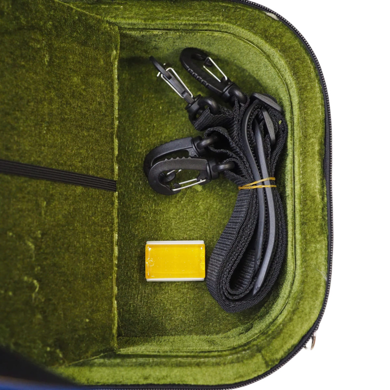 Комплект скрипичный Stefan Poladic 300 4/4 Комплект скрипичный Stefan Poladic 300 4/4